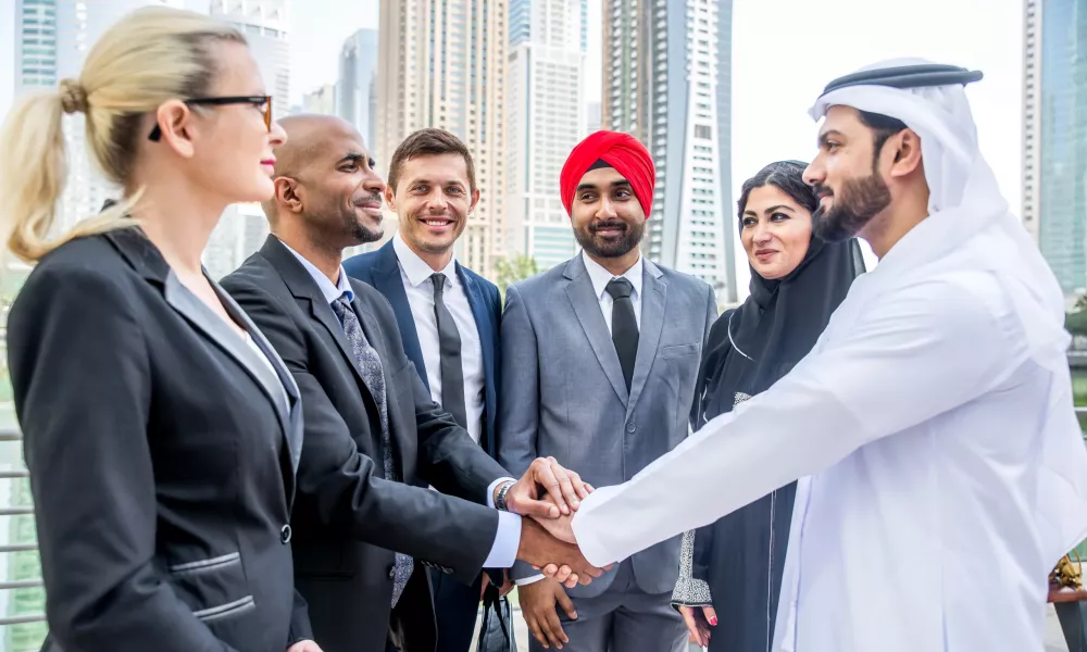 uae new visa amnesty